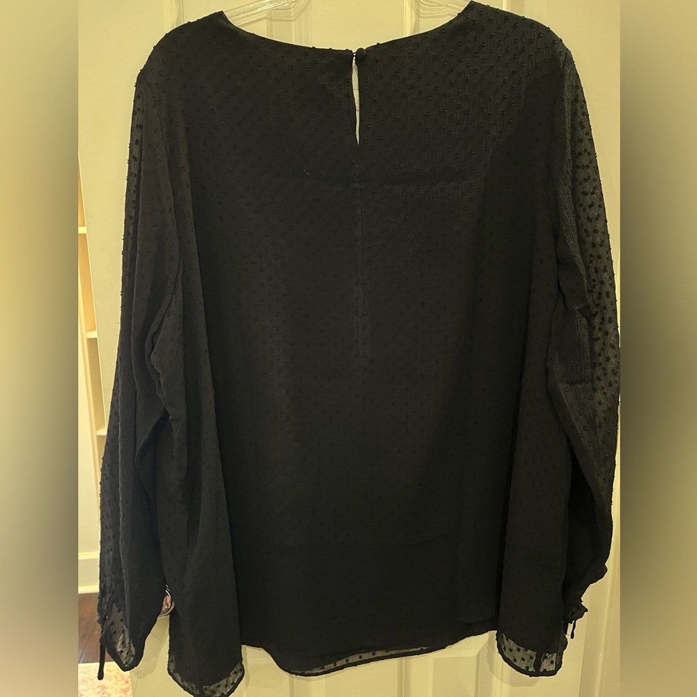 Torrid Multi-Color Embroidered Flower Chiffon Tie Long Sleeve Blouse size 2 - Picture 9 of 10